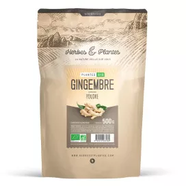 Gingembre bio