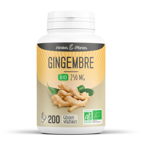 Gingembre BIO - Gélules Végétales