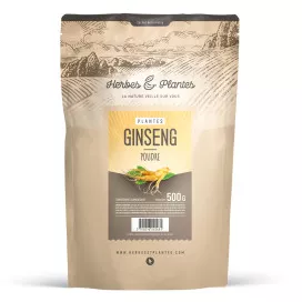 Ginseng rouge