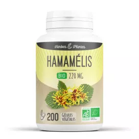 Hamamélis bio