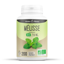 Mélisse bio 