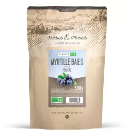 Myrtille bio (baie)