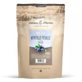 Myrtille (feuille)
