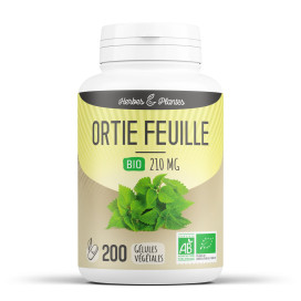 Ortie bio (feuille) 