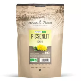 Pissenlit BIO