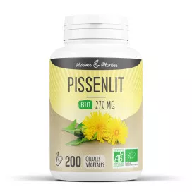 Pissenlit bio