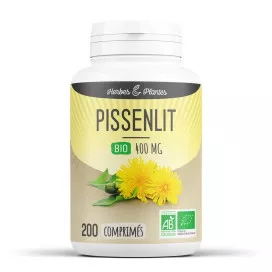 Pissenlit bio