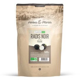 Radis noir bio 