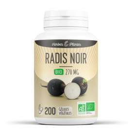 Radis noir bio 