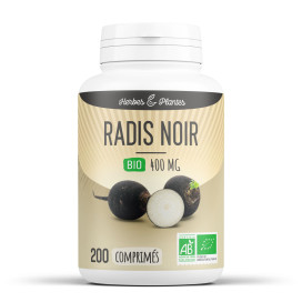 Radis noir bio 