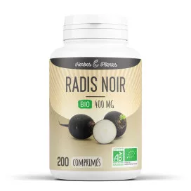 Radis noir bio