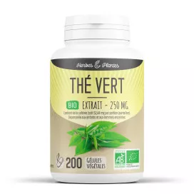Thé vert bio (extrait aqueux)