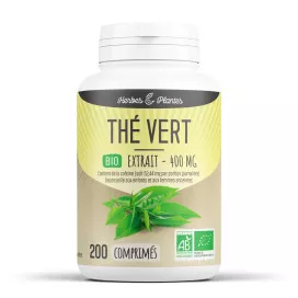 Thé vert bio (extrait aqueux)