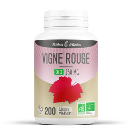 Vigne rouge bio 