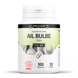 Ail bulbe bio