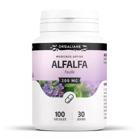 Alfalfa