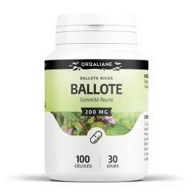 Ballote