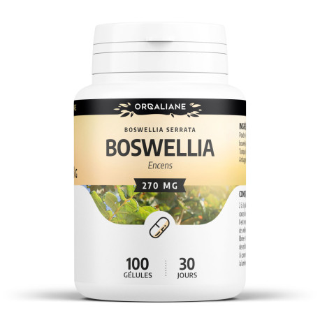 Boswellia (extrait 65%) - Gélules