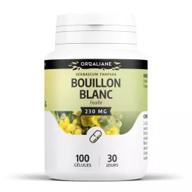Bouillon blanc