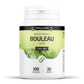 Bouleau