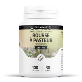 Bourse à pasteur