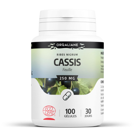 Cassis BIO - Gélules