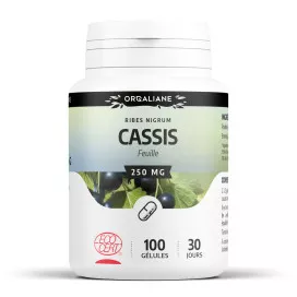 Cassis bio