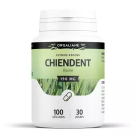 Chiendent