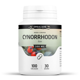 Cynorrhodon 