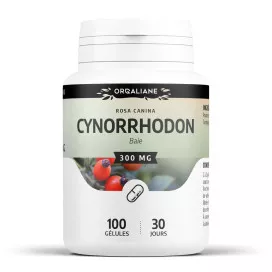 Cynorrhodon