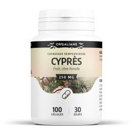 Cyprès 