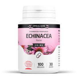 Echinacea bio 