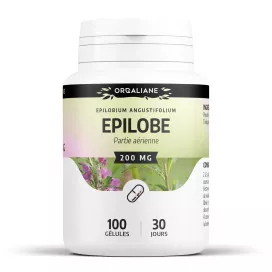 épilobe