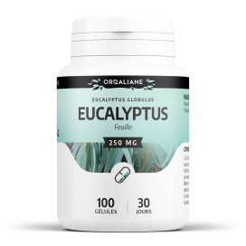 Eucalyptus 