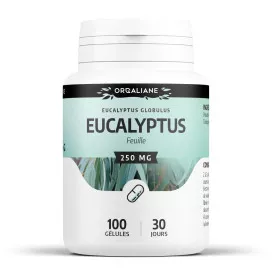 Eucalyptus