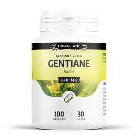 Gentiane 