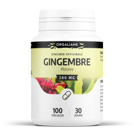 Gingembre 