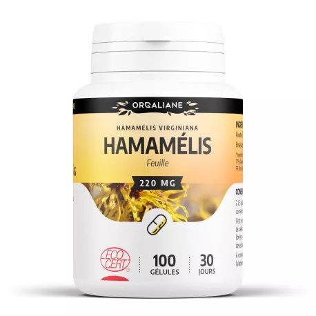 Hamamélis BIO - Gélules