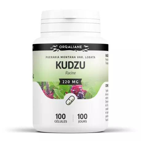Kudzu - Gélules