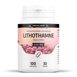 Lithothamne (algue entière)