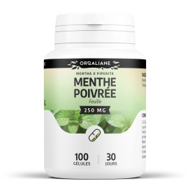 Menthe poivrée 