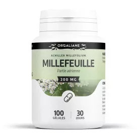 Millefeuille