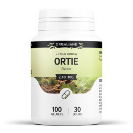 Ortie (racine) 