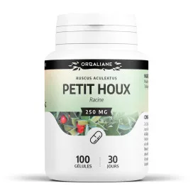 Petit houx (fragon)