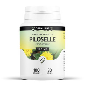 Piloselle 