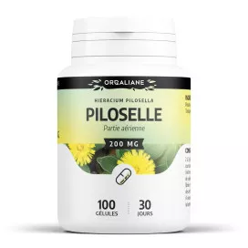 Piloselle