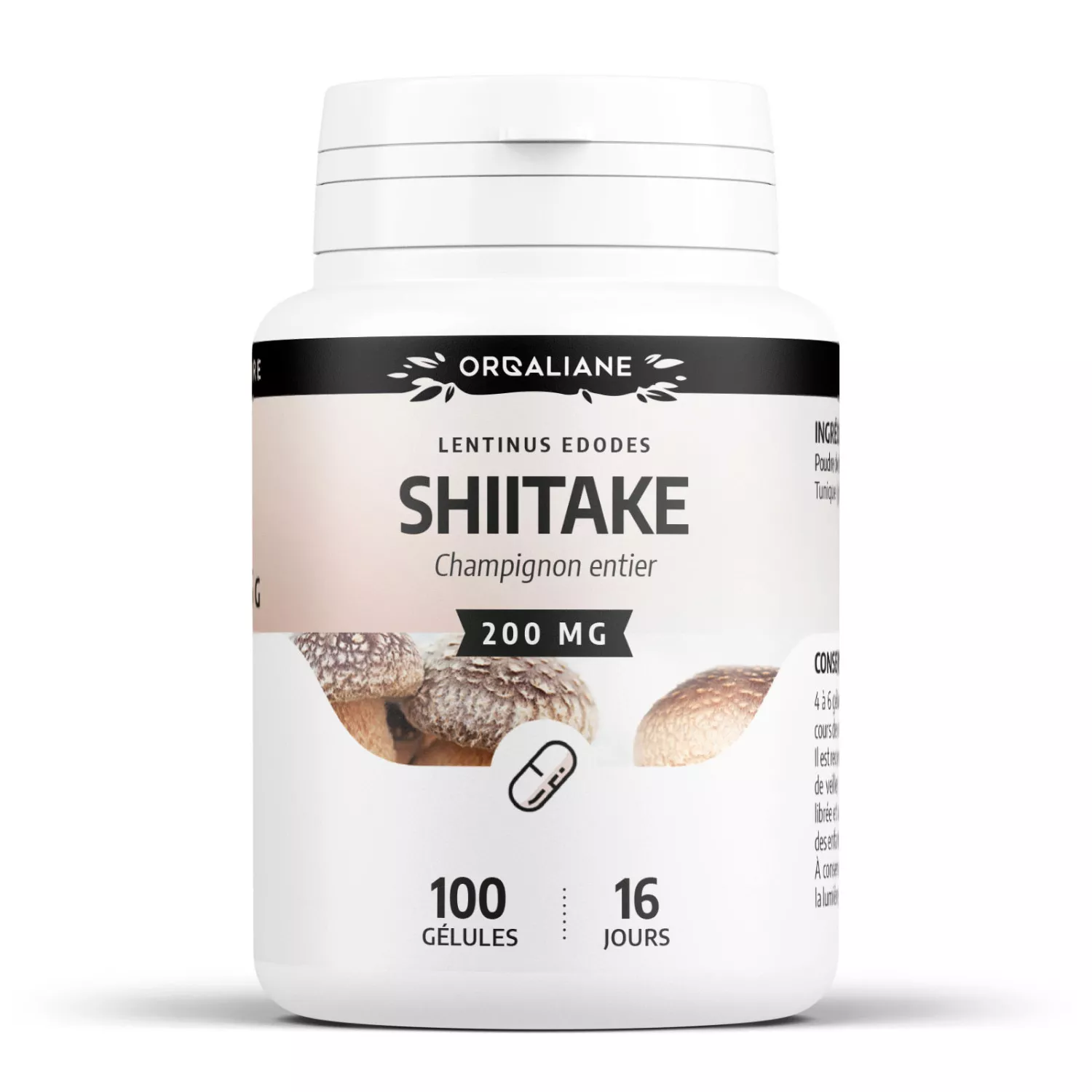 Shiitake - Gélules