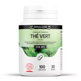 Thé vert bio