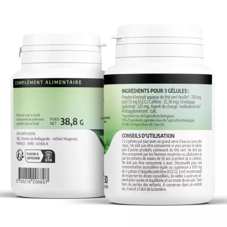 Thé Vert BIO - Gélules
