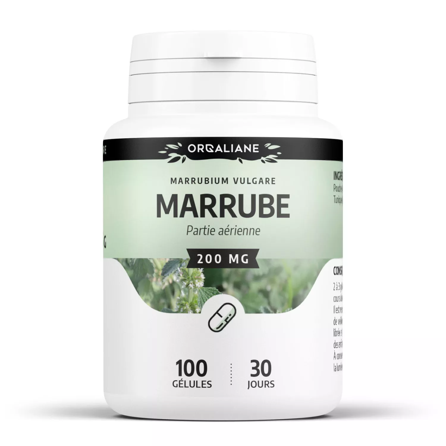 Marrube - Gélules